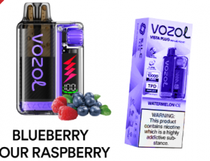 Vozol Blueberry Sour Raspberry
