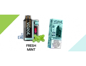 Vozol 20000 Fresh Mint