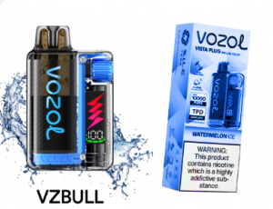 Vozol 20000 VZBULL İncelemesi