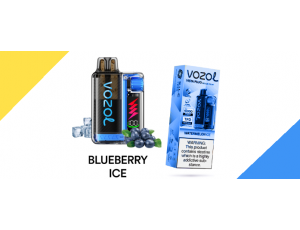 Vazol 20000 Blueberry Ice