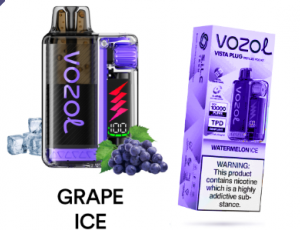 Vazol 20000 grape ice
